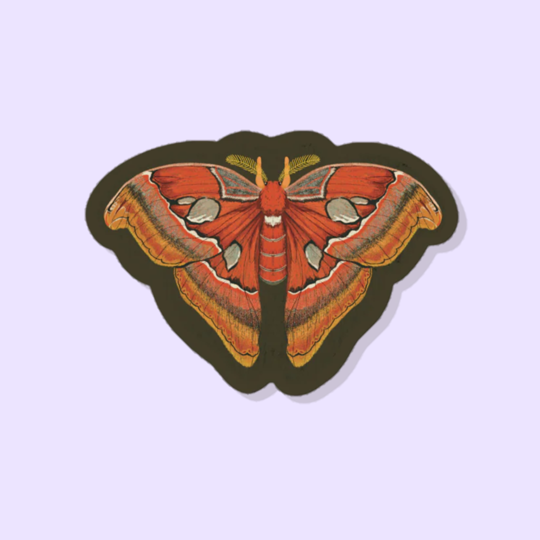 A picture of a sticker of an atlas moth on a light purple background
