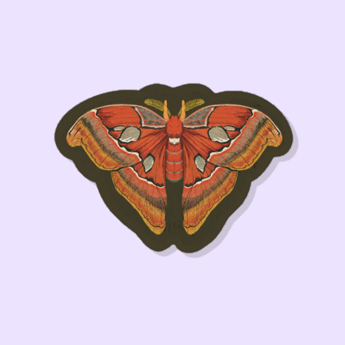 A picture of a sticker of an atlas moth on a light purple background