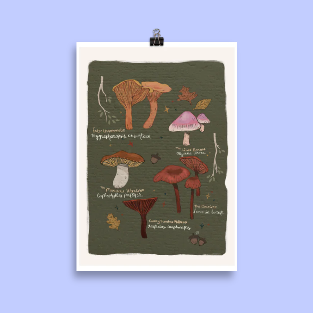 An illustration that contains several different types of mushrooms with their common and scientific names
