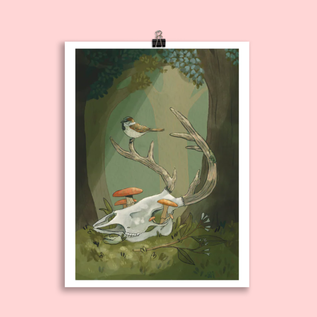 An illustration of a bird sitting on top of an antler of a deer skull in the clearing of a forest. Mushrooms grow up between the empty eye sockets of the deer skull