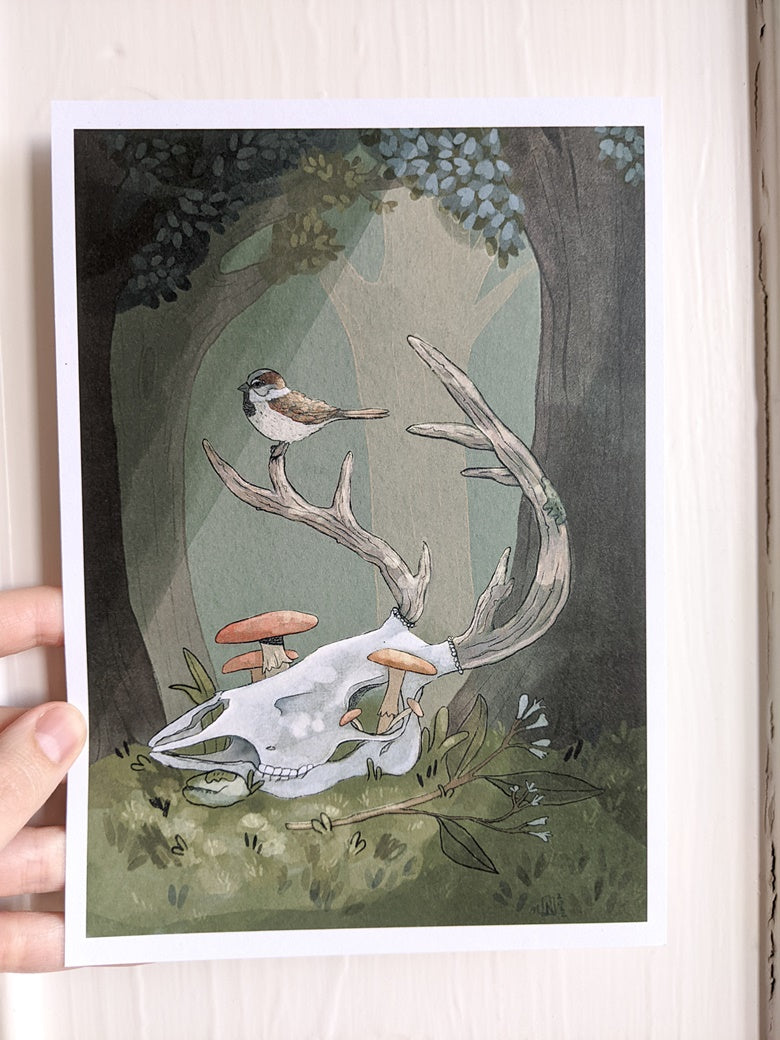 Cycles A5 Giclee Print