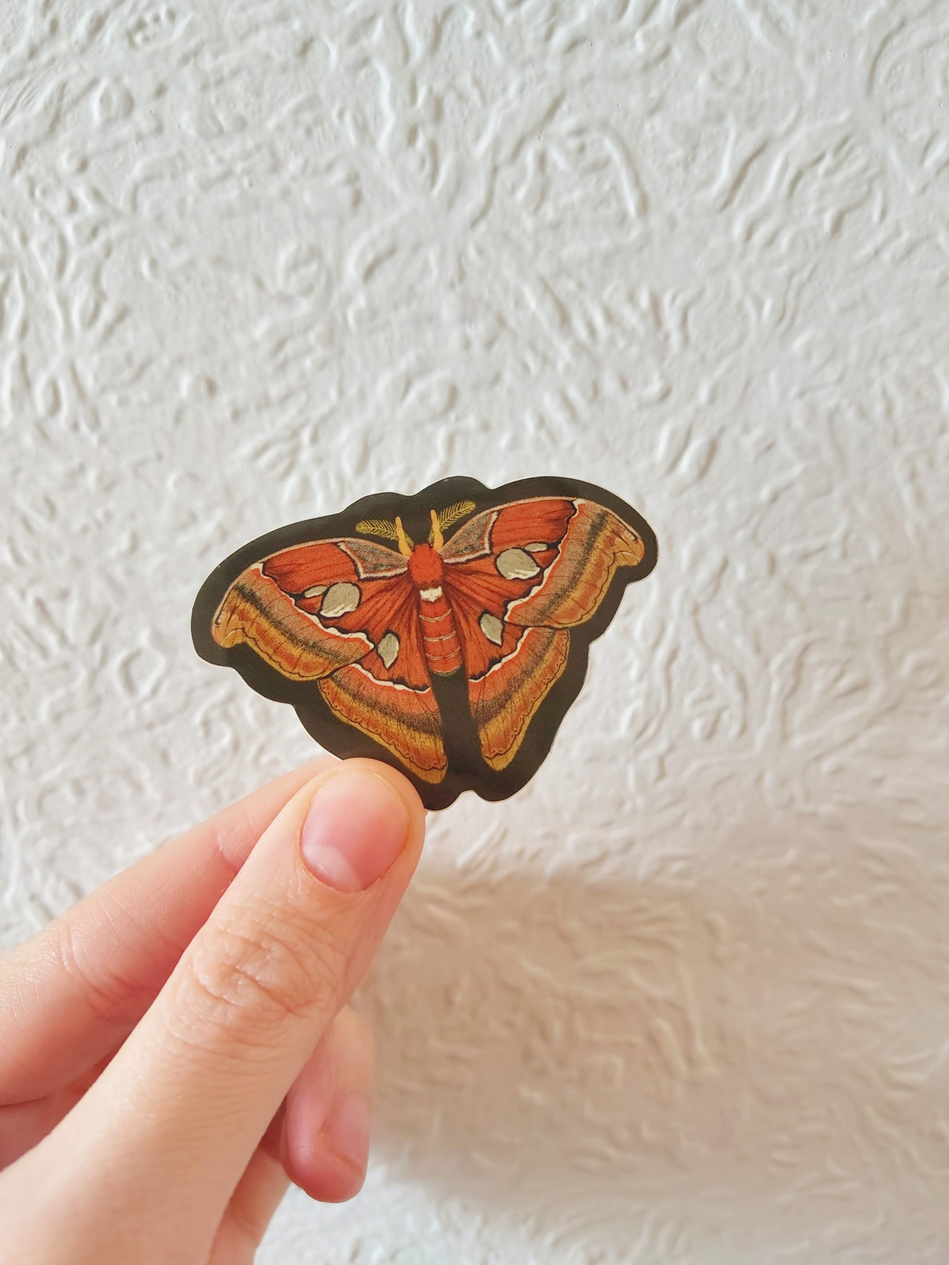 Atlas Moth Sticker