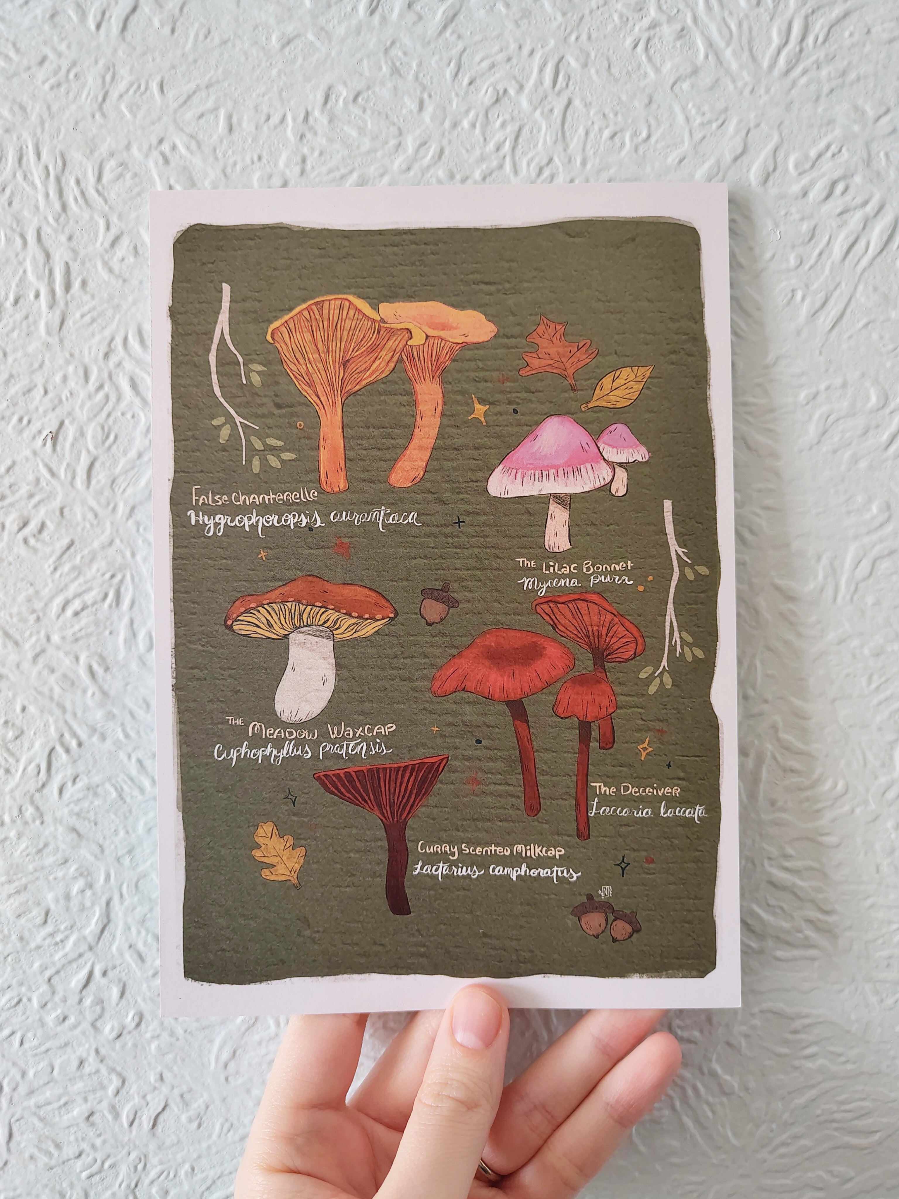 Collection of Mushrooms A5 Giclee Print