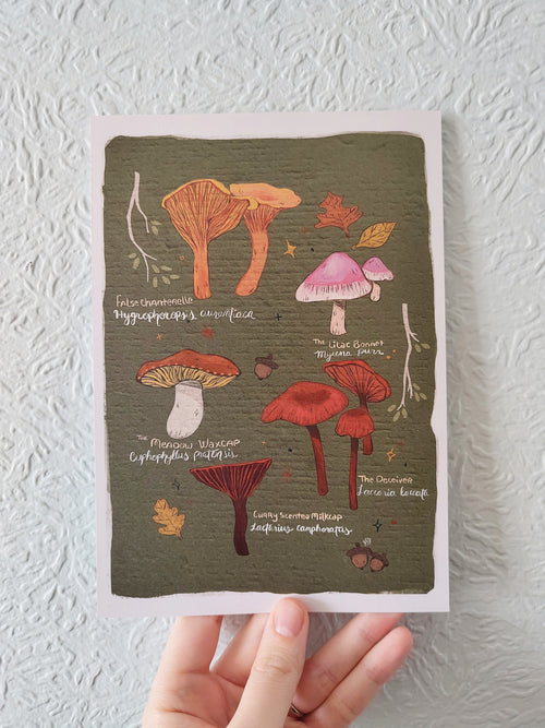 Collection of Mushrooms A5 Giclee Print